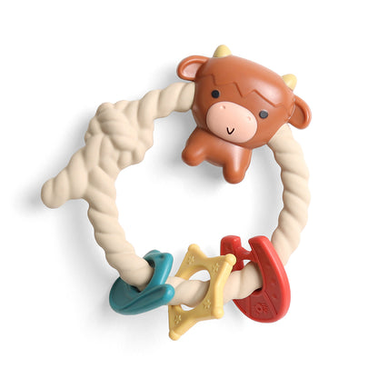 Ritzy Rattle™ Silicone Teether Rattles