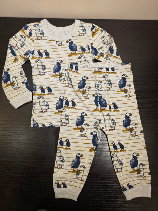 Long sleeve, 2 piece pajama, puffins