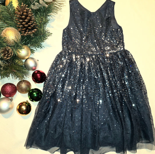 Navy Blue & Silver sparkly Dress