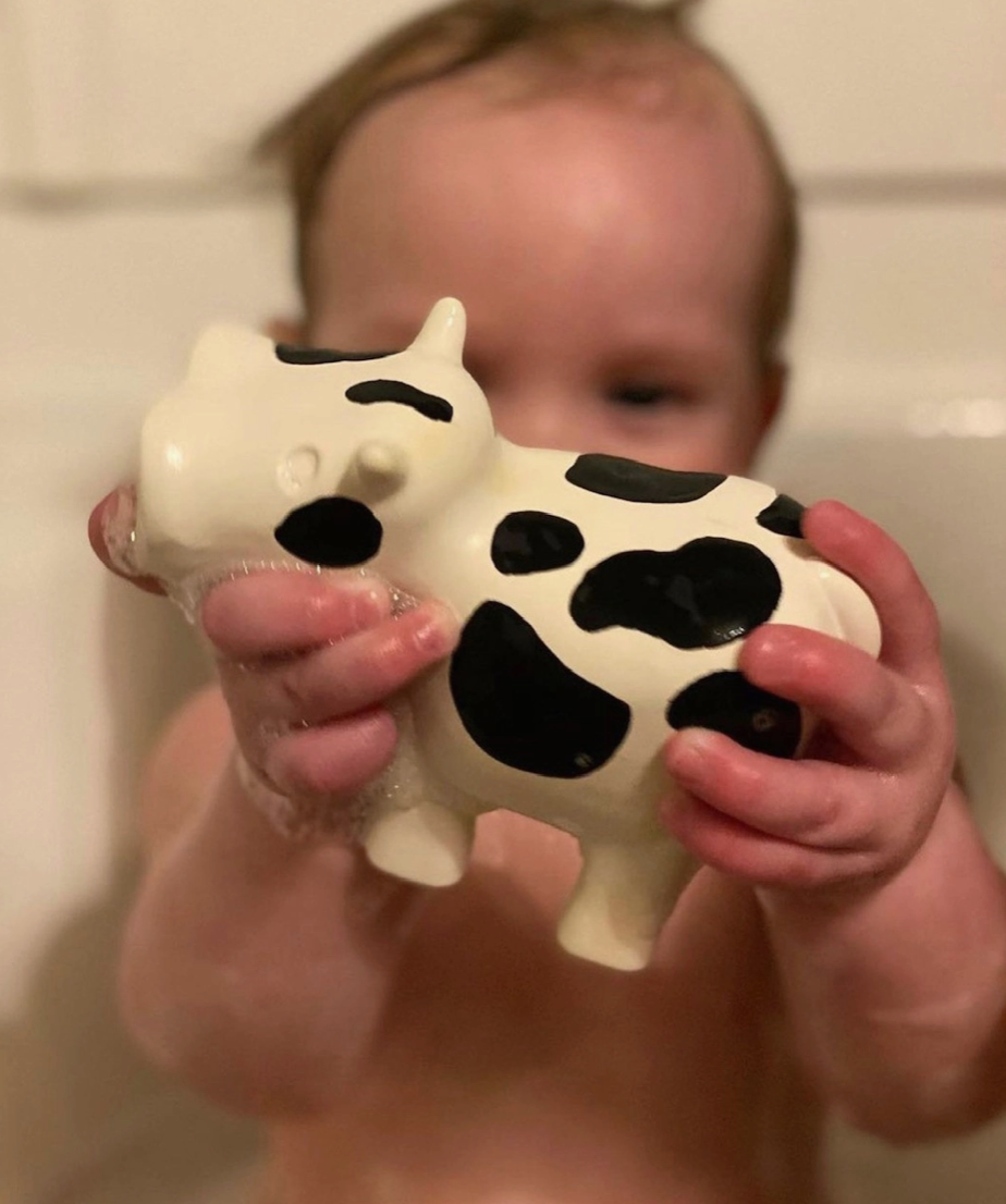 Barnyard Bath Pals - Farm Themed Set/3